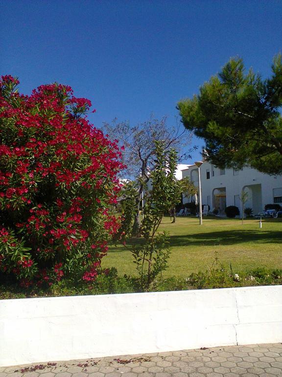 Apartmán Quinta Do Torrejao Armação de Pêra Exteriér fotografie